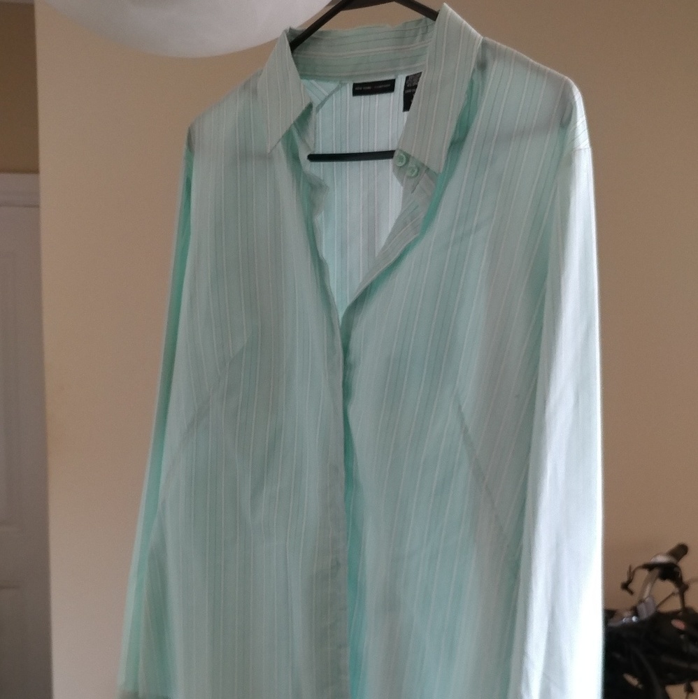 Button Downs - Picture 7 of 8